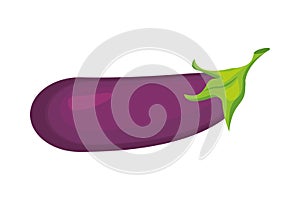 Egg plant healthy vegetable isolated style icon