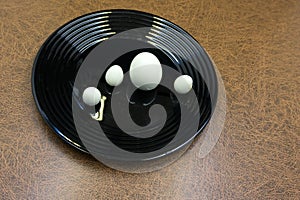 Egg preservedegg shot single space studio brown .