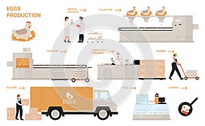 Egg process production in chicken factory, food industry