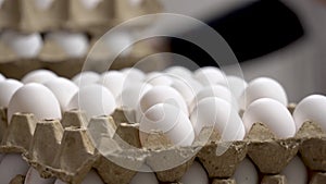 Egg production. Workers hand placing eggs on platform.