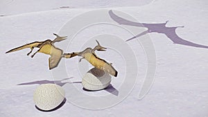 Egg and pterodactyl 3d rendering