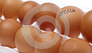 Egg Recall