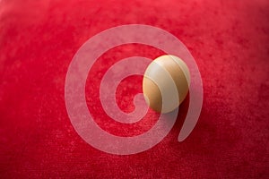 Egg on red carpet background