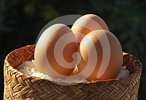 Egg