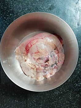 Egg of Rohu carp fish largely eaten in India