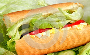 Egg salad in a bread stick roll