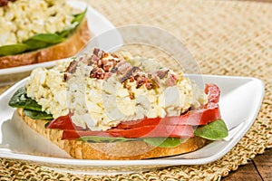 Egg salad sandwhich on a white plate