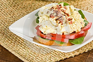 Egg salad sandwhich on a white plate