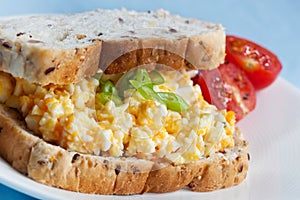 Egg Salad Sandwich