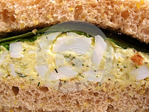 Egg Salad Sandwich