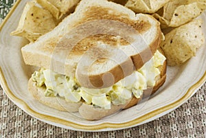 Egg Salad Sandwich and Chips