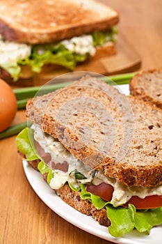 Egg salad sandwiches on brown bread
