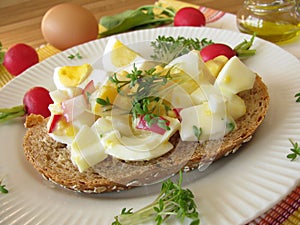 Egg salad on spelt bread
