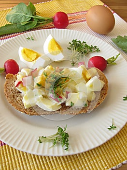 Egg salad on spelt bread