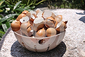 Egg shell in basket plastic