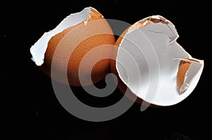 Egg shell  on black background