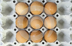 Egg shell tray poultry nature protein healthy concept