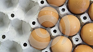 Egg shell tray poultry nature protein healthy concept