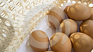 Egg shell tray poultry nature protein healthy concept