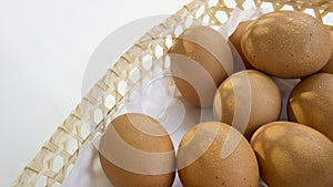 Egg shell tray poultry nature protein healthy concept