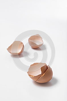 Egg shell on white background vertical blur