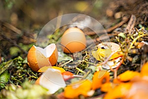 Egg shells and other organic human waste on a compost heap. Secondary rational use of food waste for processing into fertilizer