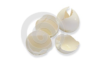 Egg Shells on White photo