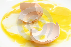 Egg Shells and Yolk