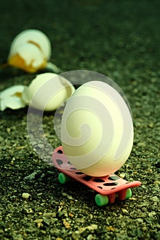 Egg Skateboard Metaphor