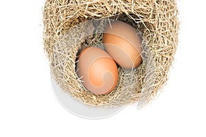 Egg in skylark nests