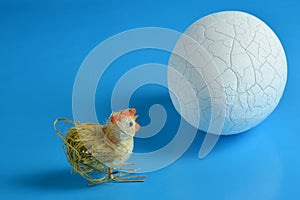 An egg with a small chick