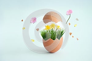 Egg with spring grass and flower explosion