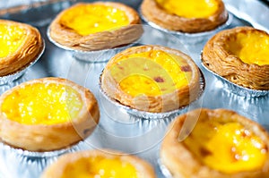 Egg tart