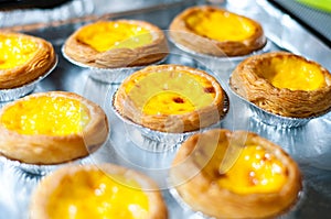Egg tart