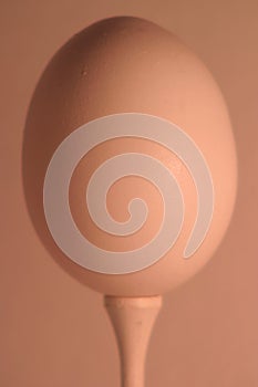 Egg on a Tee