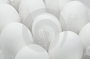 Egg tray with fresh white eggs isolated on white background. Fresh organic chicken eggs in plastic box