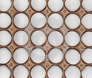 Egg tray with fresh white eggs texture background. Fresh organic chicken eggs in paper box