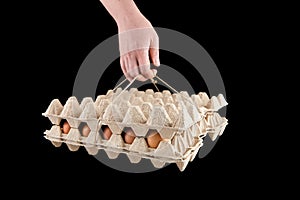 Egg tray isolated on black background. Person holding brown chicken eggs in package