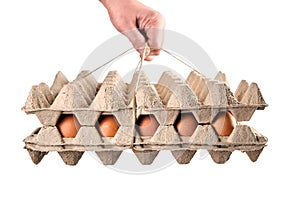 Egg tray isolated on white background. Person holding brown chicken eggs in cardboard package