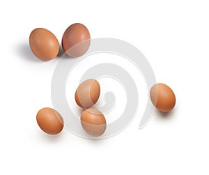 Egg - Uovo - isolated on white