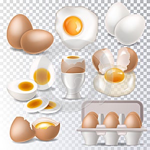 Egg vector healthy food eggwhite or yolk in egg-cup for breakfast illustration set of eggshell or egg shaped ingredients