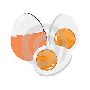 Egg vector illustration, Collection of whole, broken, fried, yolks, eggshells and boiled eggs