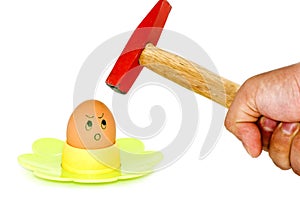 Egg vs Hammer