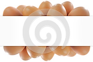 Egg in white backgrond