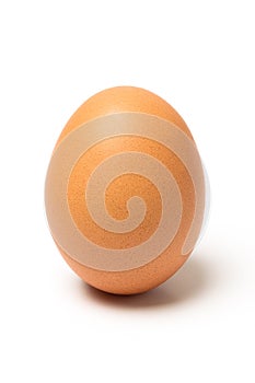 Egg on white background