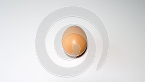 Egg on a white background one egg