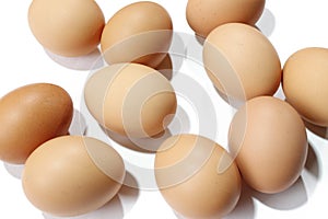 Egg on white background table