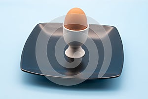 egg in a white cup on a black plate isolated against a blue background