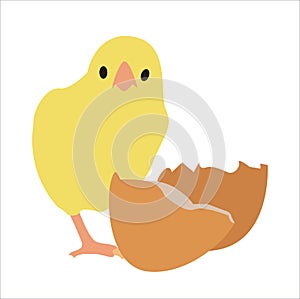 Egg and yellow cute chick