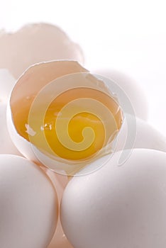 Egg Yolk